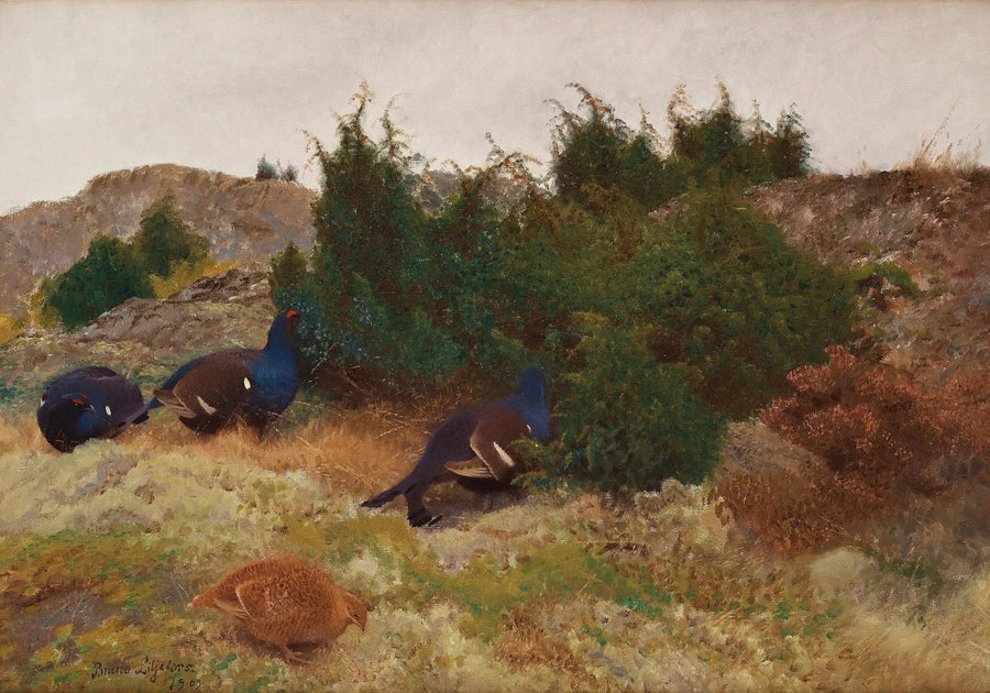 Urogallo negro en otoño - Bruno Liljefors