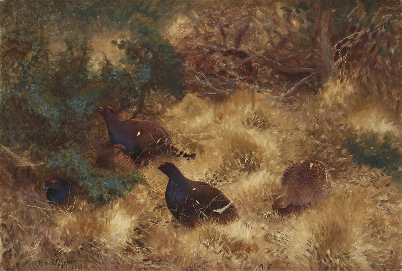 Urogallo negro en otoño - Bruno Liljefors