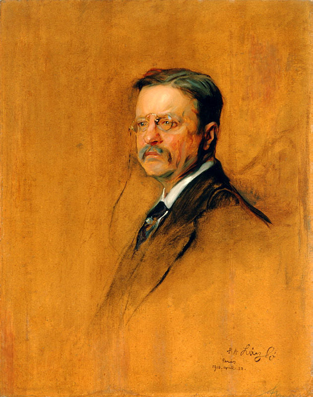 Theodore Roosevelt - Philip de Laşzloş