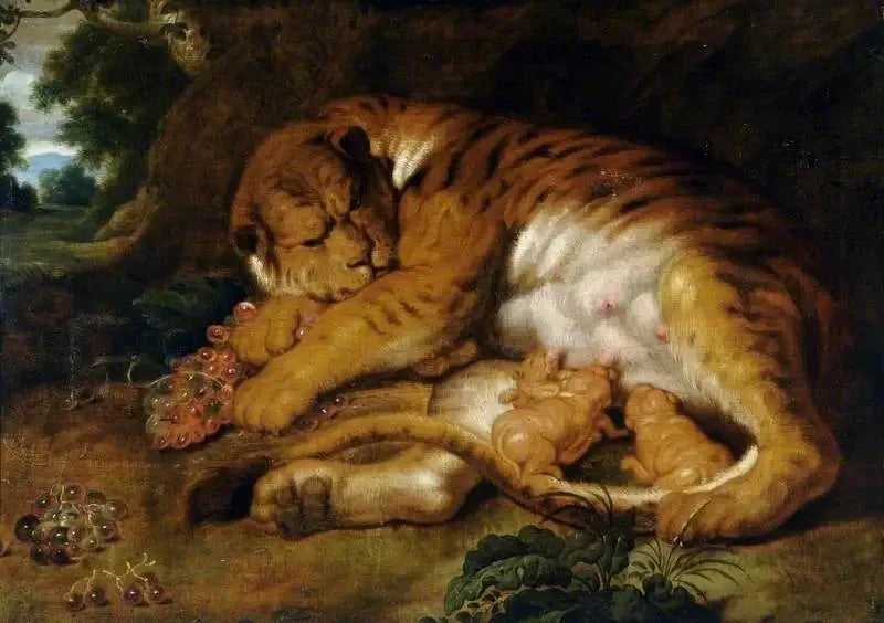 Tigresa con sus cachorros - Peter Paul Rubens