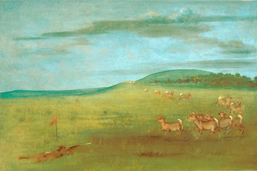 Tiro a un antílope atraído - George Catlin