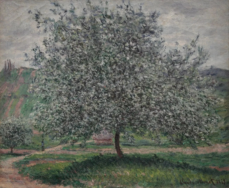 Título traducido no disponible - Claude Monet