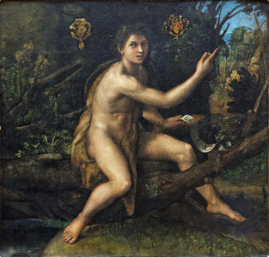 San Juan Bautista en el desierto - Rafael Sanzio