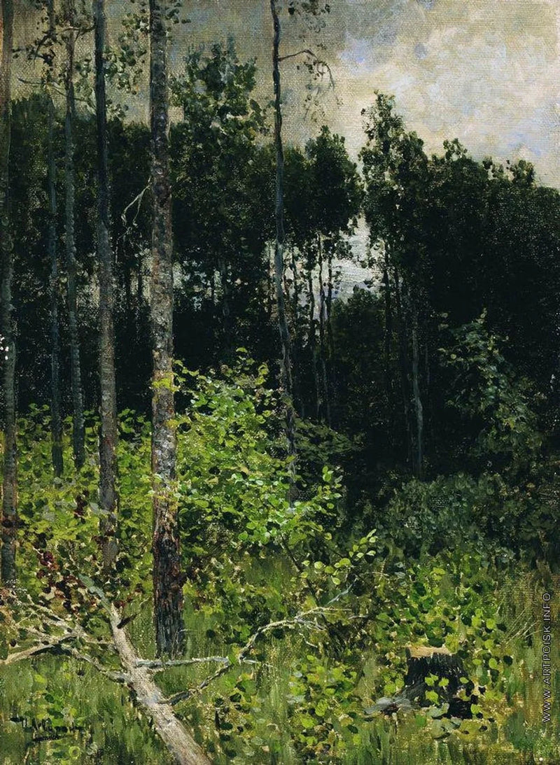 Bouleaux, jour gris - Isaac Levitan