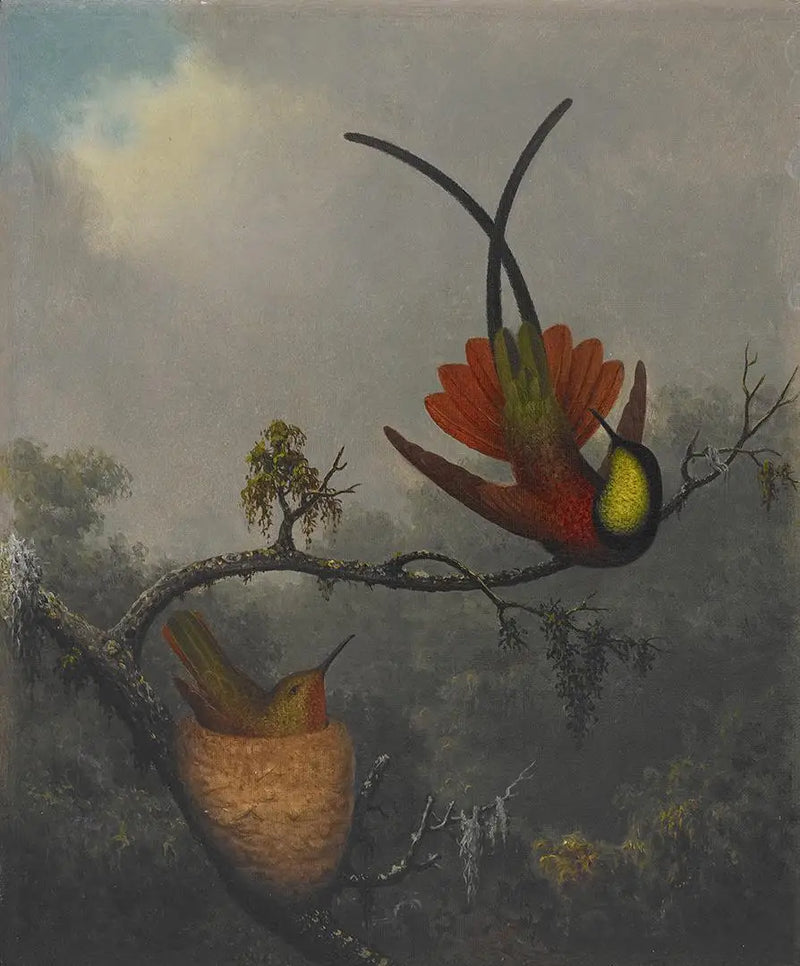 Topacio carmesí - Martin Johnson Heade