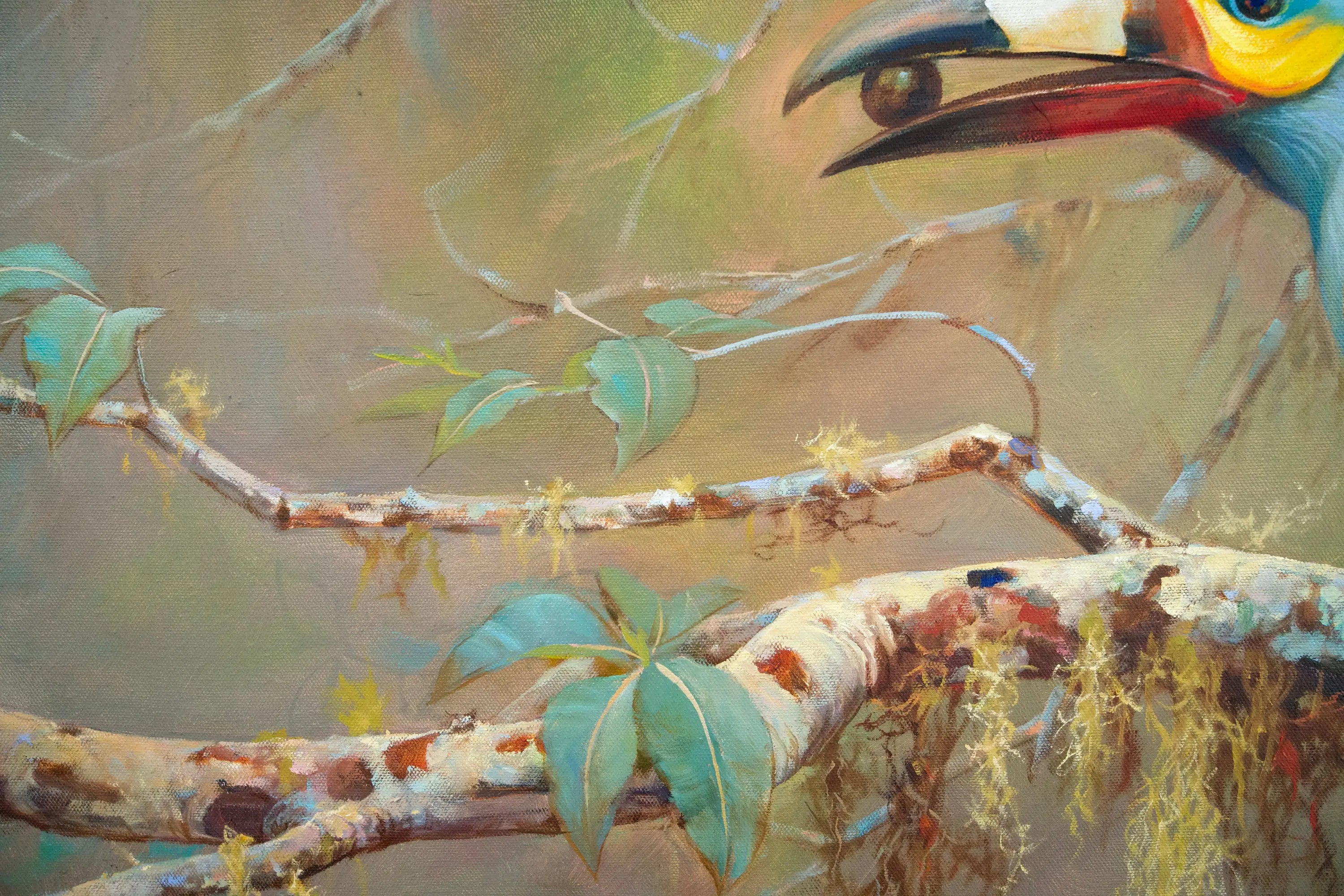 Mountain Toucan – Somchai | 60 x 90 cm Reproductions de tableaux à la peinture à l’huile