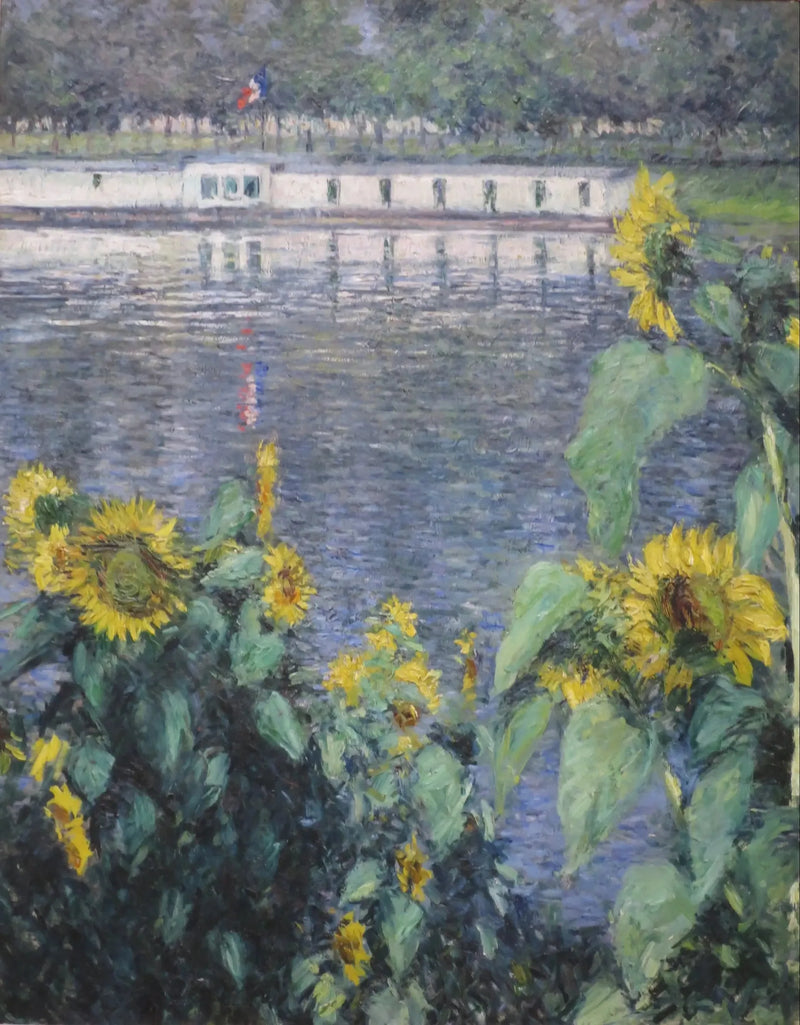 Girasoles a lo largo del Sena - Gustave Caillebotte