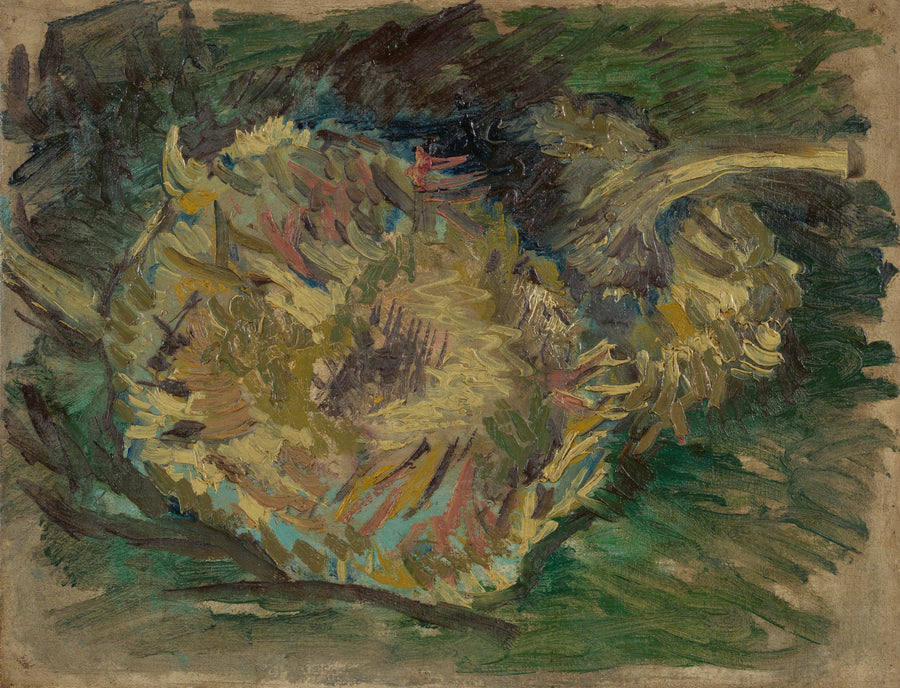 Girasoles en semillas - Vincent van Gogh