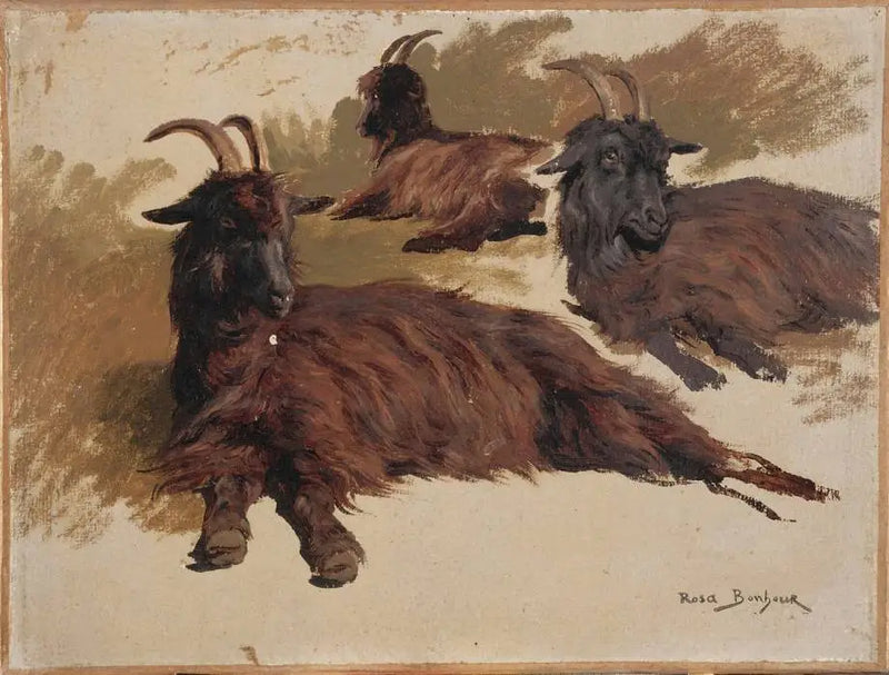 Tres cabras en reposo - Rosa Bonheur