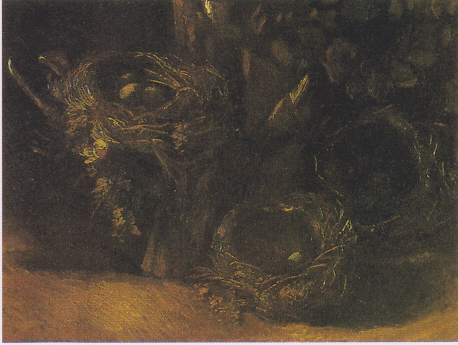 Naturaleza muerta con tres nidos de pájaros - Vincent van Gogh