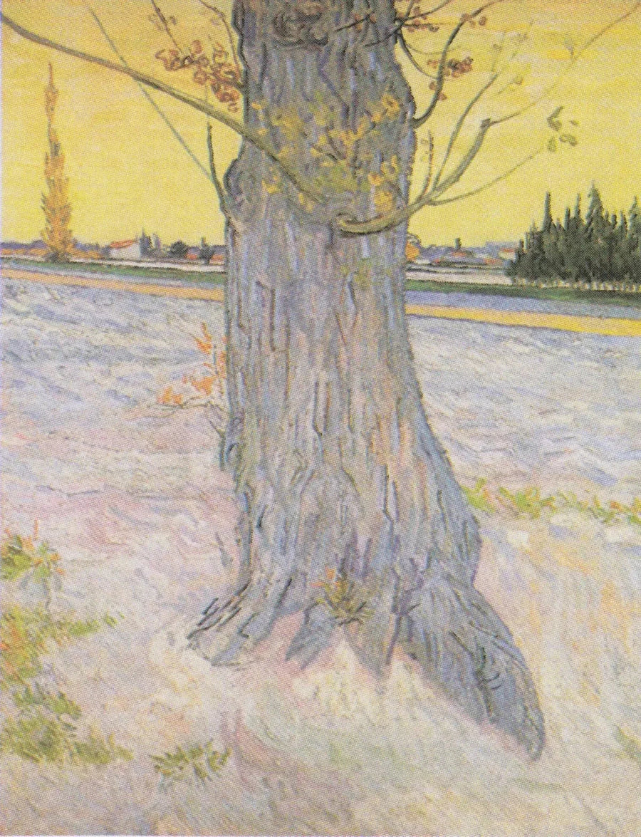 Tronco de un viejo tejo - Vincent van Gogh