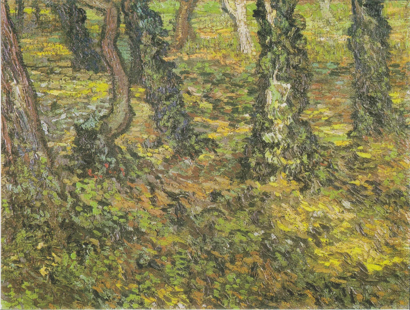 Troncos de árboles con hiedra - Vincent van Gogh