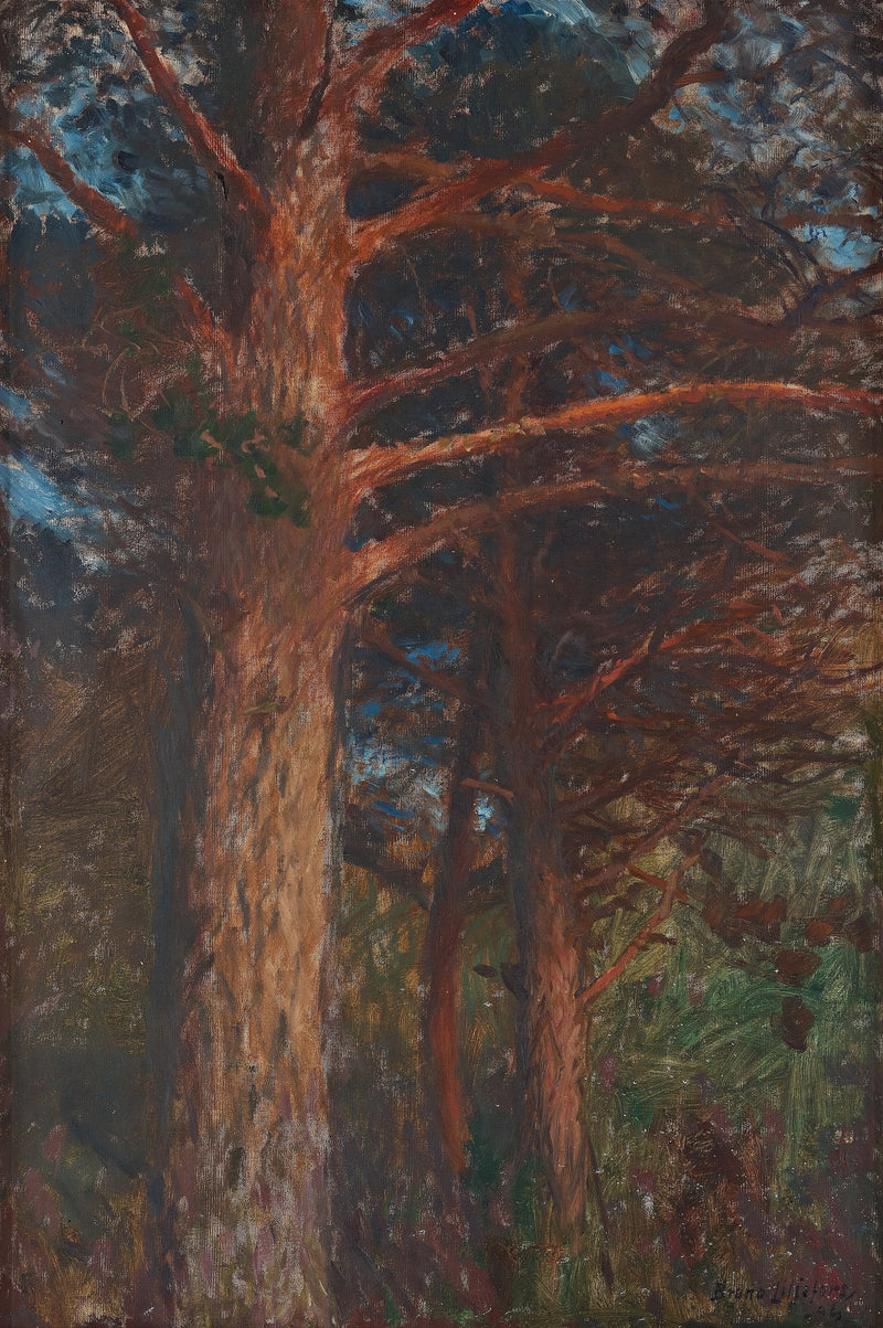Troncos de pino al atardecer - Bruno Liljefors