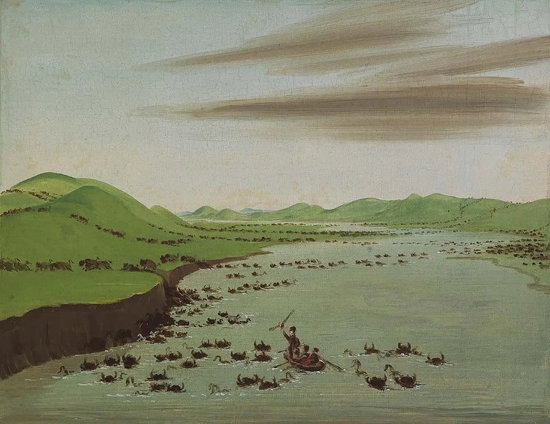 Manadas de bisontes cruzando el Alto-Misuri - George Catlin