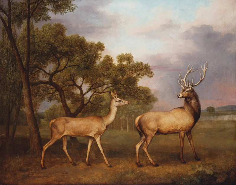 Un ciervo élapho macho y una cierva - George Stubbs