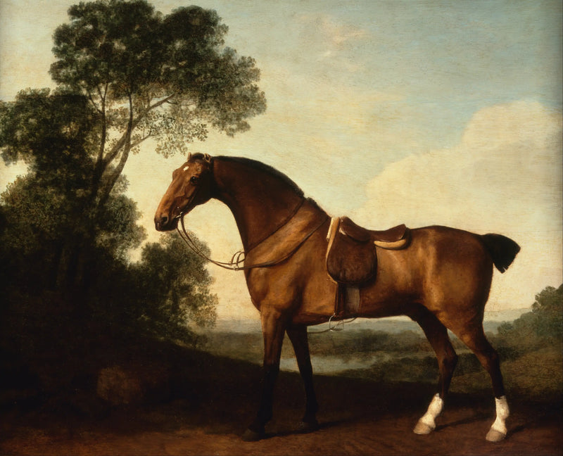Un cazador de bahía sellado - George Stubbs
