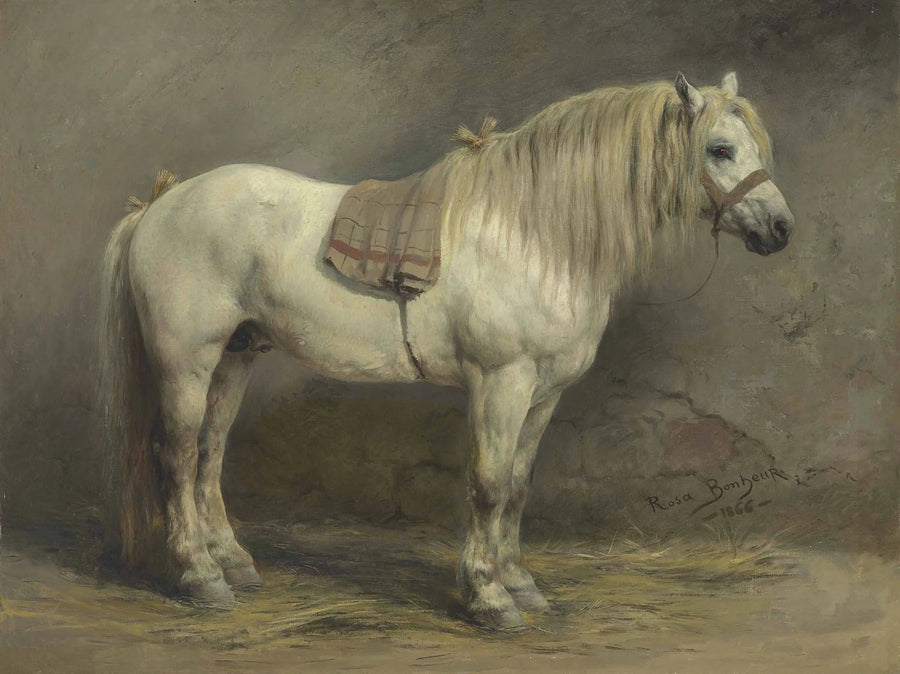 Un caballo blanco - Rosa Bonheur