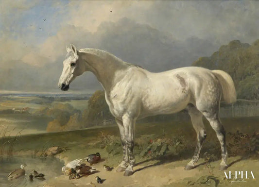 Un cheval gris et des canards dans un paysage - John Frederick Herring Snr - Reproductions de tableaux et peintures haut de gamme