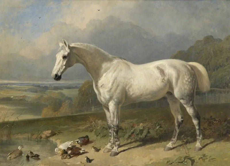 Un caballo gris y patos en un paisaje - John Frederick Herring, Sr.