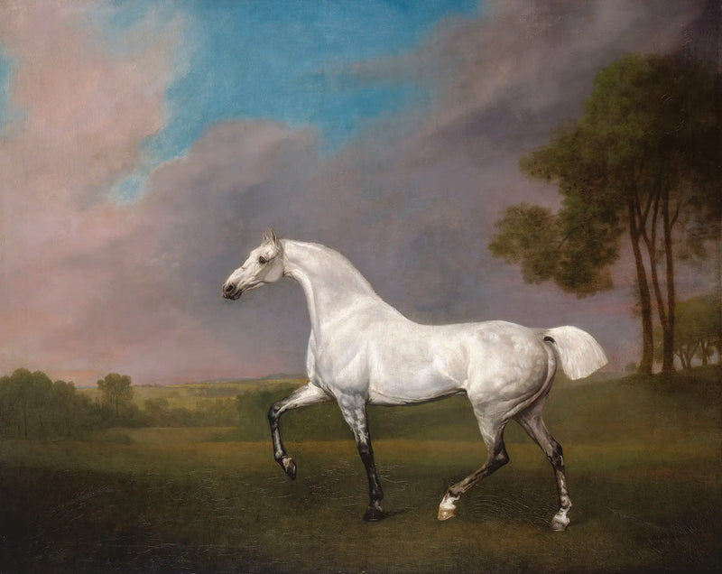 Un caballo gris - George Stubbs