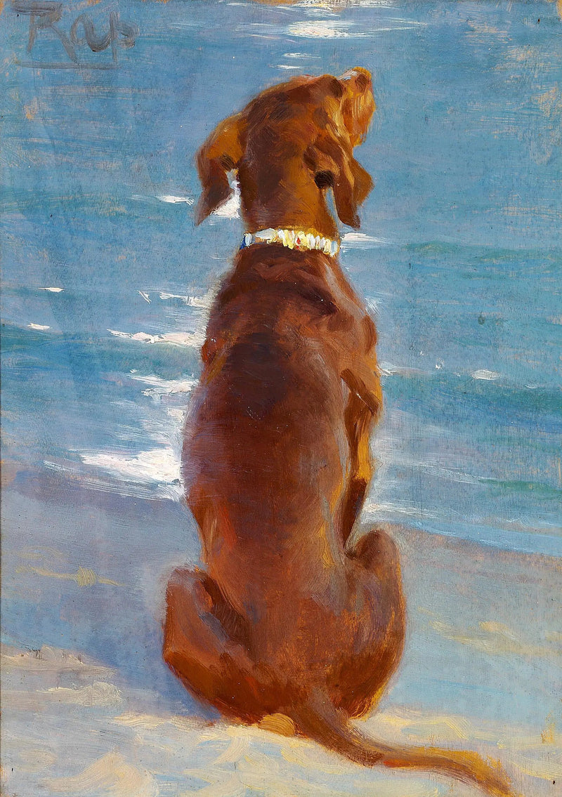 Un perro marrón sentado. Rap. - Peder Severin Krøyer