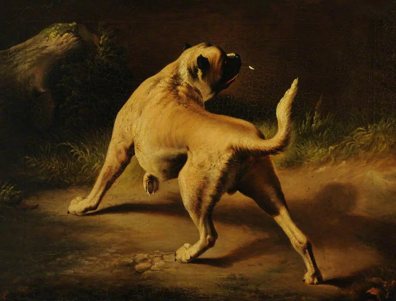 Un perro en alerta - Edwin Henry Landseer