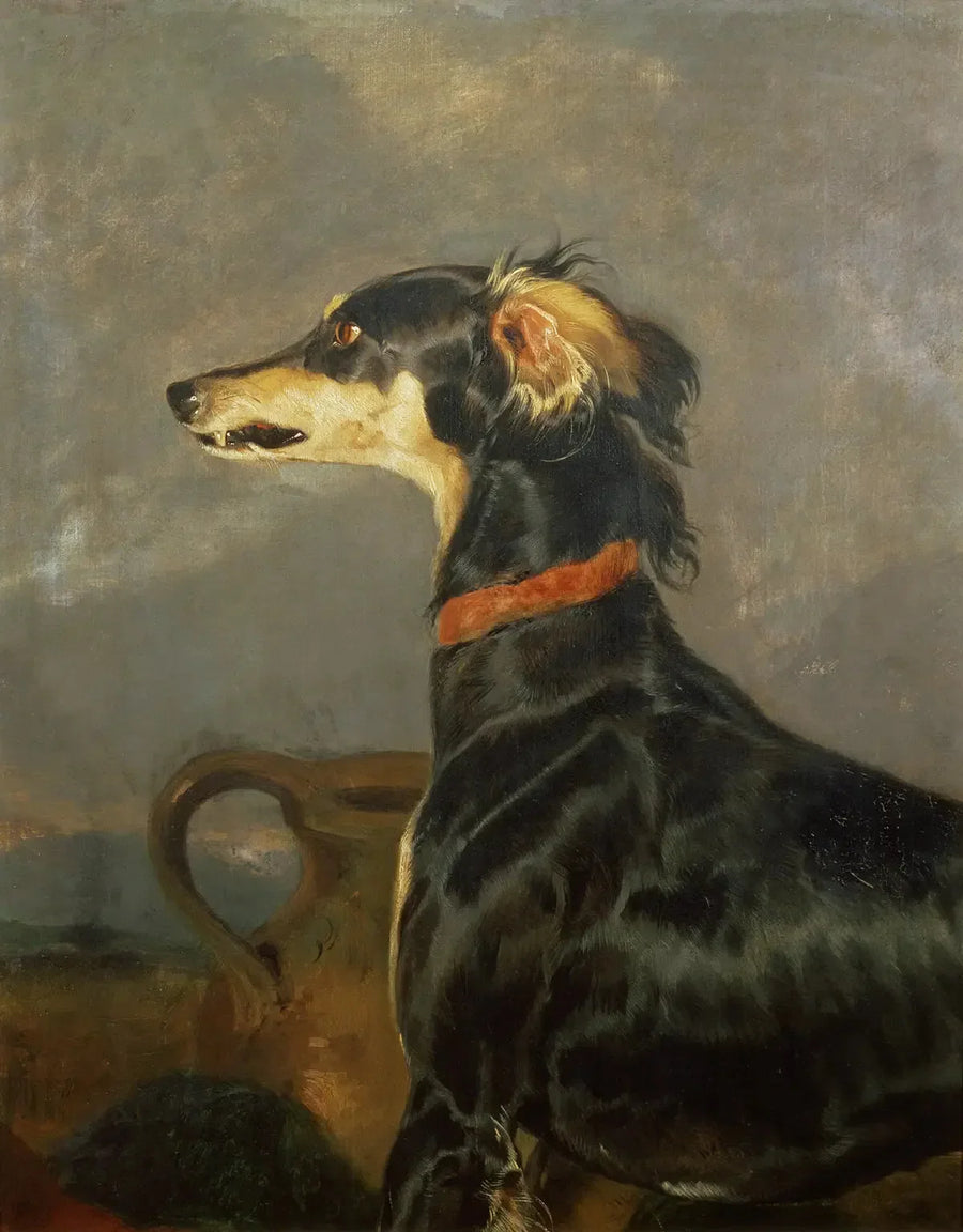 Un perro Saluki - Edwin Henry Landseer