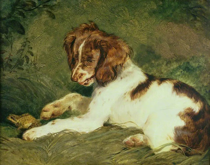 Un cachorro provoca una rana - Edwin Henry Landseer