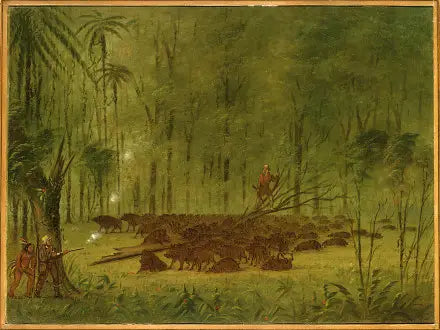 Una lucha con pécaris - Caribe - George Catlin