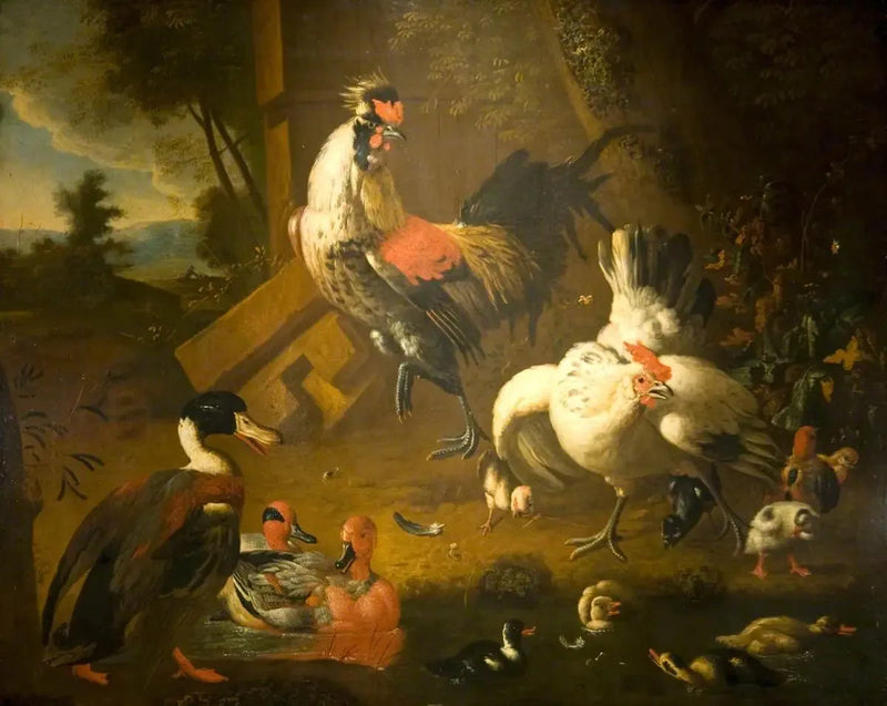Un gallo con una gallina y tres patos - Melchior de Hondecoeter