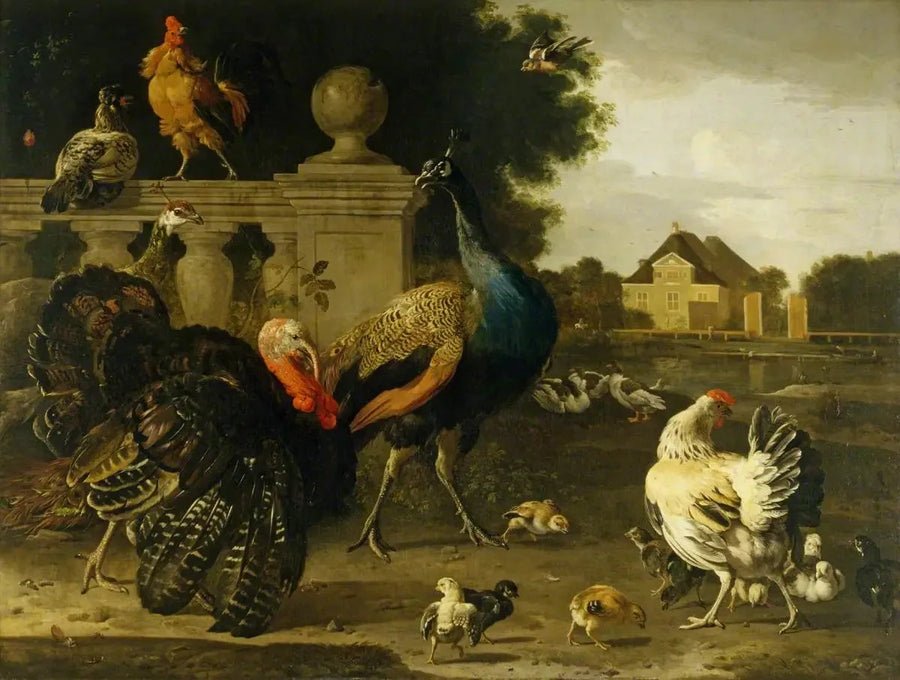 Un gallo de pavo y otros aves en un jardín - Melchior de Hondecoeter