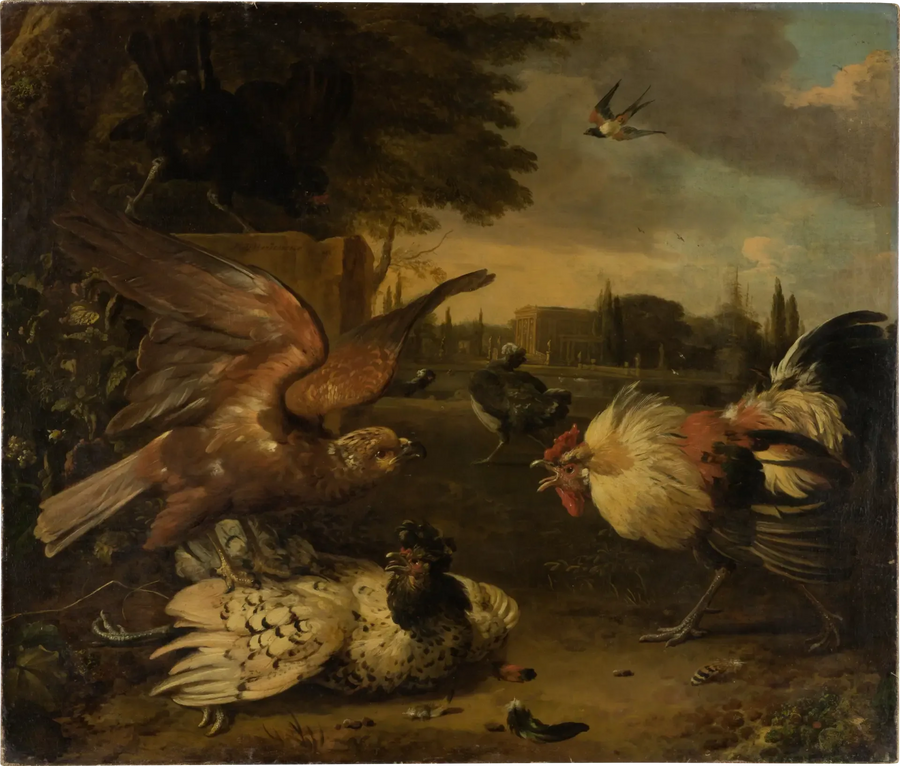 Un gallo defiende a una gallina contra un ave de presa que la ataca - Melchior de Hondecoeter