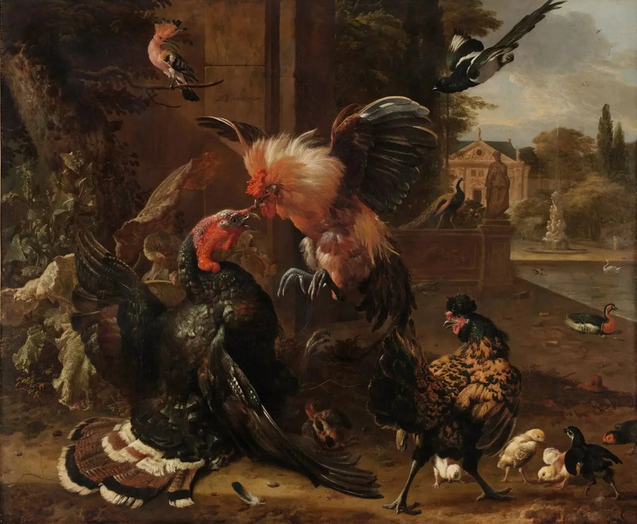 Un gallo y un pavo se pelean - Melchior de Hondecoeter