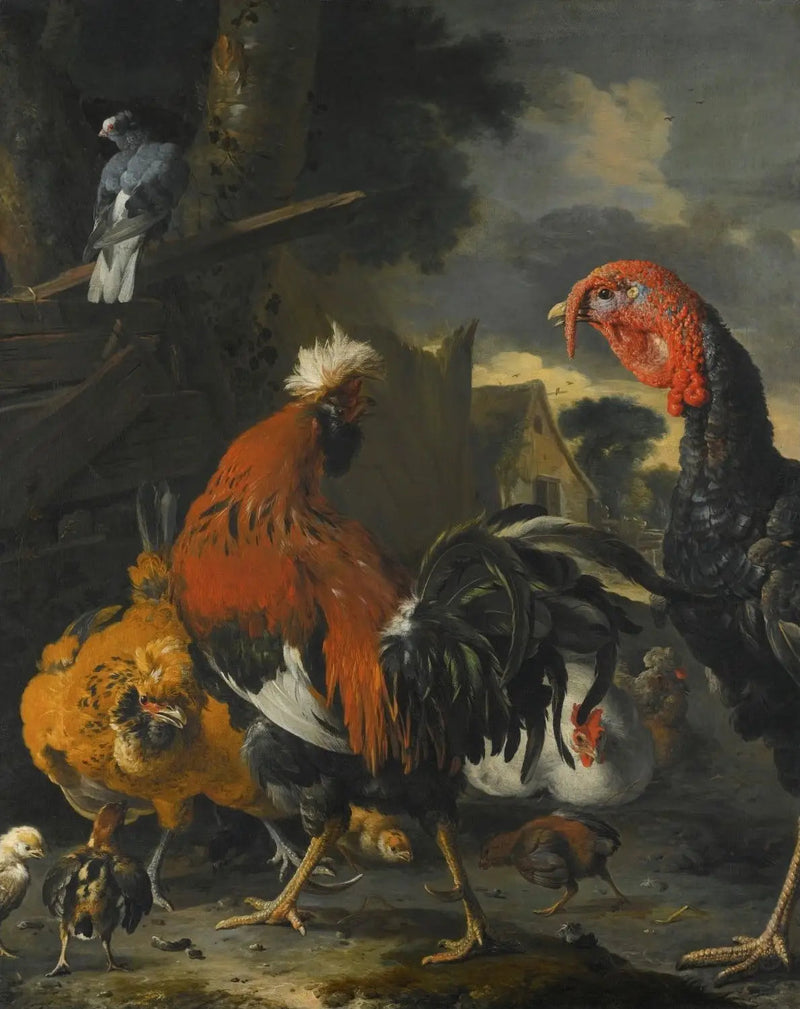 Un gallo, un pavo, gallinas y pollos en un corral - Melchior de Hondecoeter
