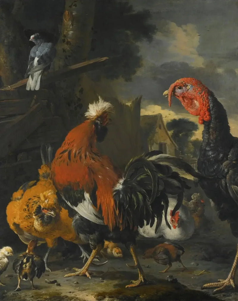 Un gallo, un pavo, gallinas y pollos en un corral - Melchior de Hondecoeter