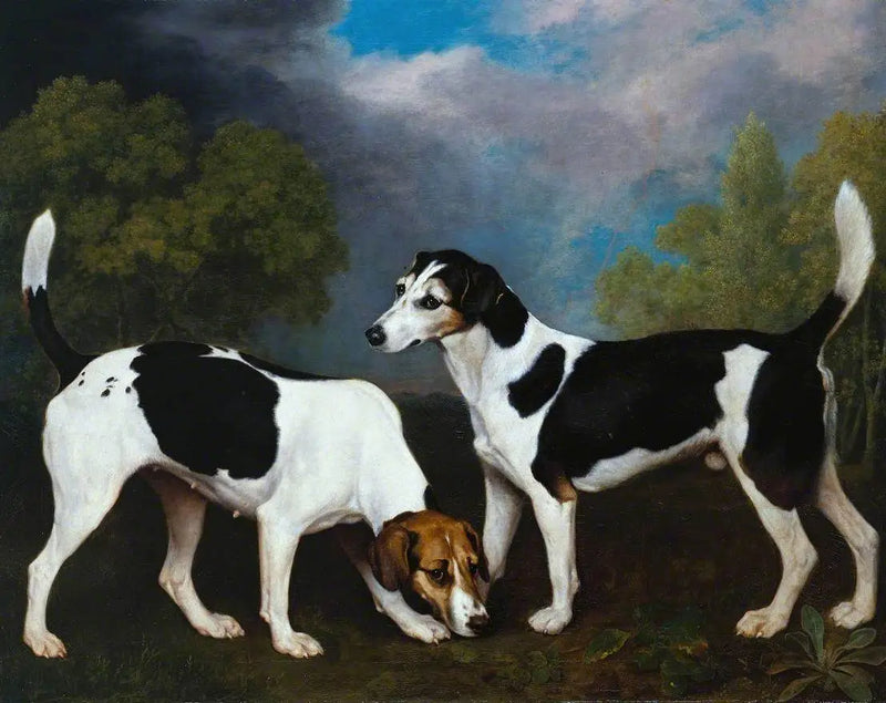 Una pareja de Foxhounds - George Stubbs