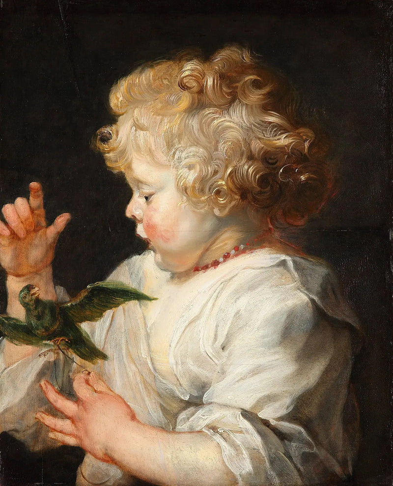 Un niño con un pájaro - Peter Paul Rubens