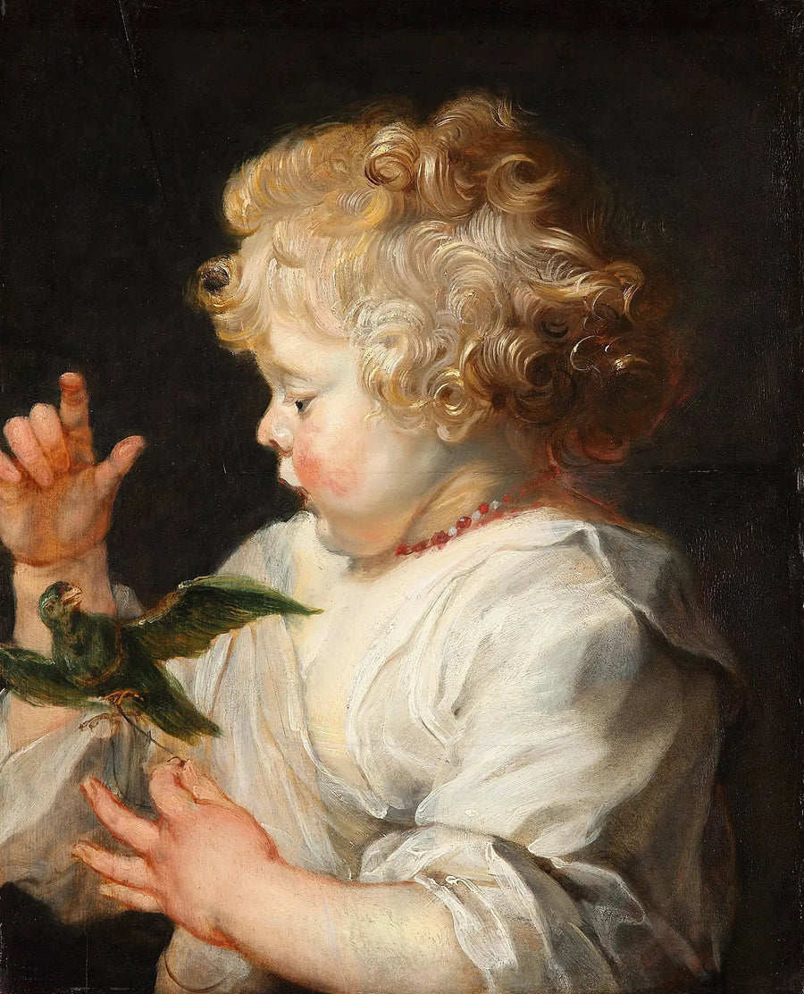 Un niño con un pájaro - Peter Paul Rubens