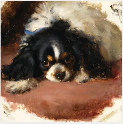 Un epagneul King Charles - Edwin Henry Landseer