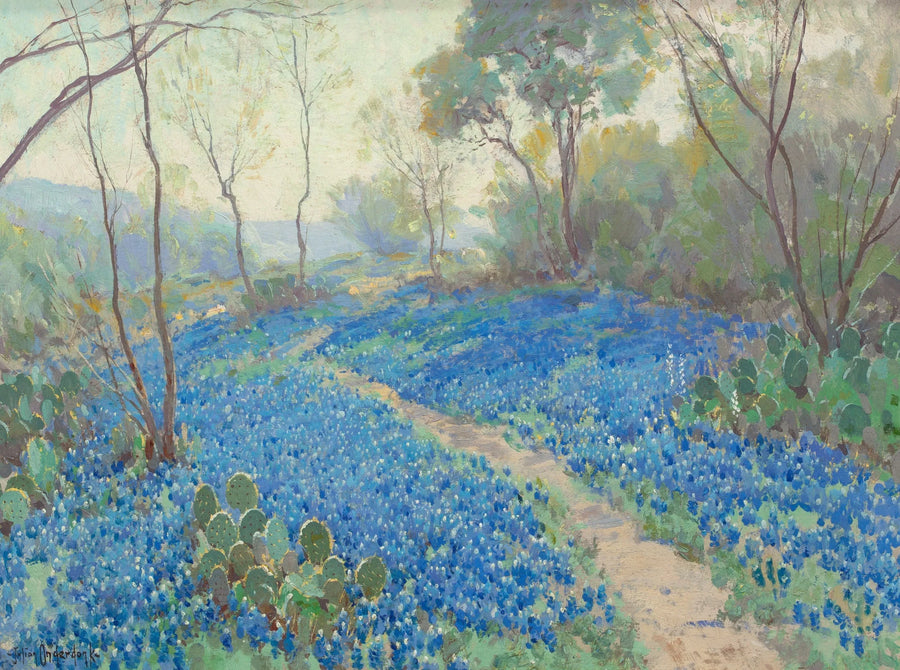 Una ladera cubierta de altramuces azules, temprano por la mañana, cerca de San Antonio, Texas. - Julian Onderdonk
