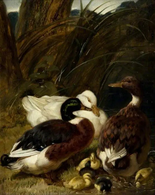 Un grupo de patos - John Frederick Herring, Sr.
