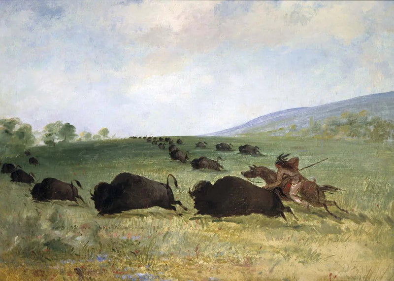 Un indio Osage lanza un búfalo - George Catlin