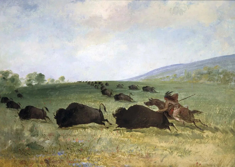 Un indio Osage lanza un búfalo - George Catlin