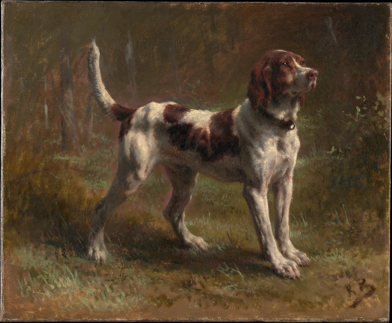Un Perro de Caza Briquet - Rosa Bonheur