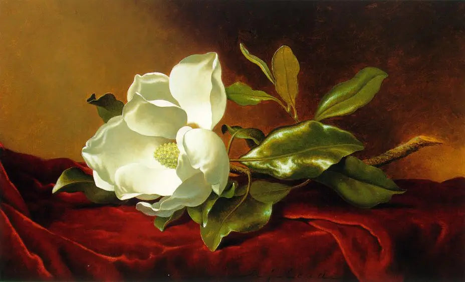 Un magnolia sur du velours rouge - Martin Johnson Heade image 1 reproduction artisanale de tableau