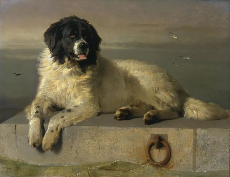 Un miembro distinguido de la Sociedad Protectora de Animales - Edwin Henry Landseer