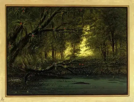 Un nido de cocodrilo - George Catlin
