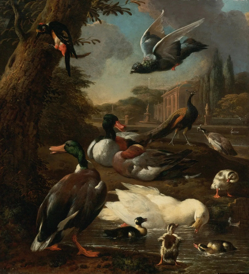 Un pavo real, una paloma, patos y otros pájaros en un jardín - Melchior de Hondecoeter