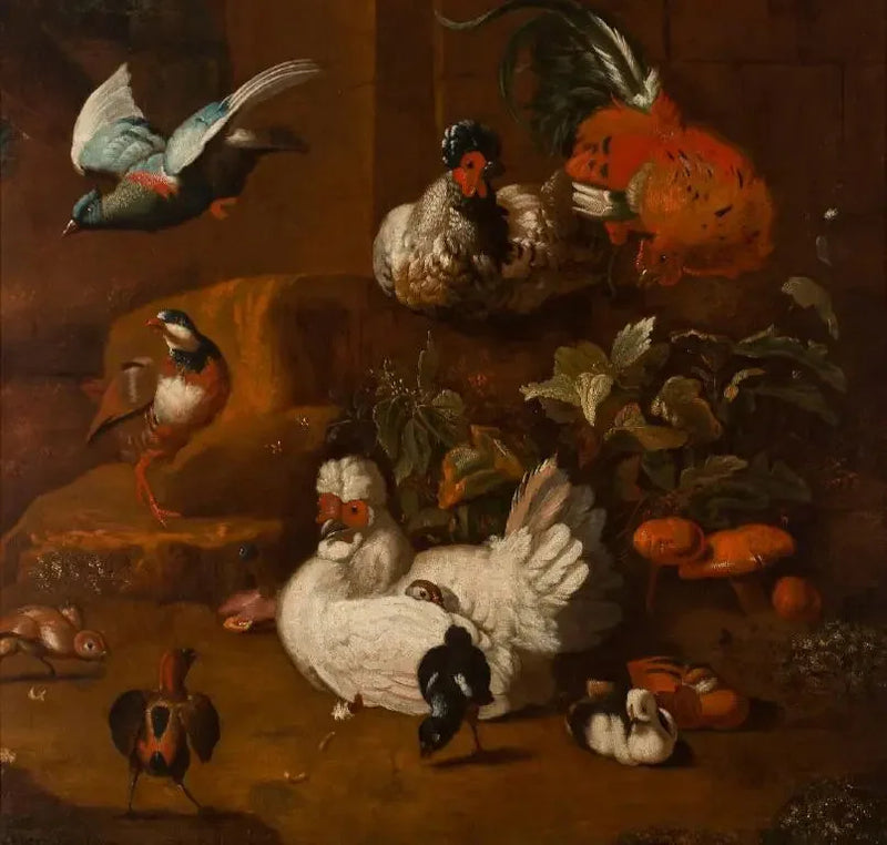 Una reunión de aves - Melchior de Hondecoeter