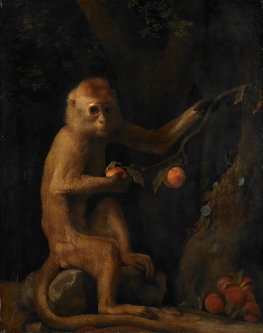 Un mono - George Stubbs